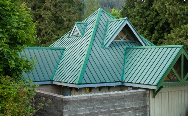 Best Roof Moss and Algae Removal  in Webb City, MO