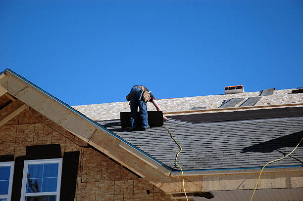 Best Roof Leak Repair  in Webb City, MO