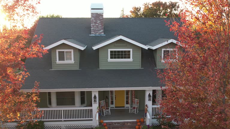Best Metal Roofing Installation  in Webb City, MO