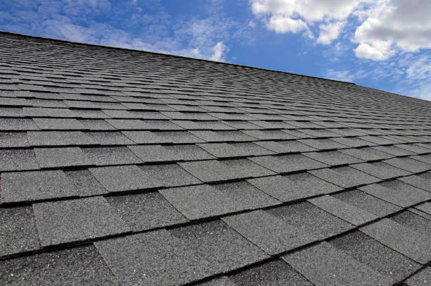 Best Sheet Metal Roofing  in Webb City, MO