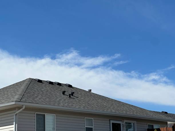Roof Coating Services in Webb City, MO